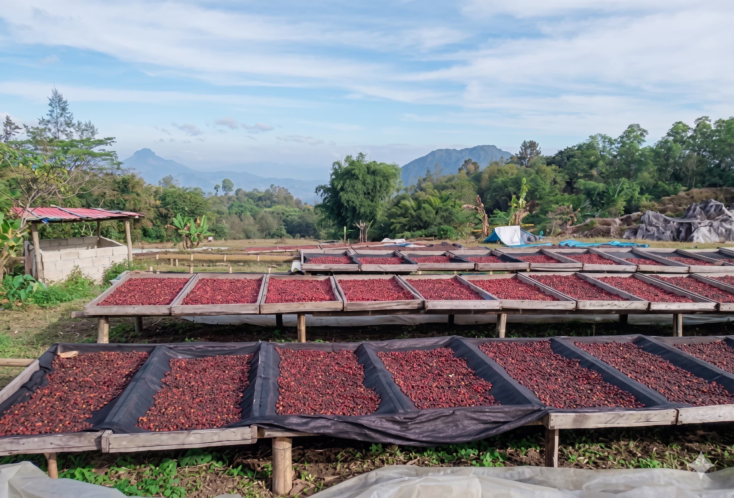 Serve Exceptional Coffee