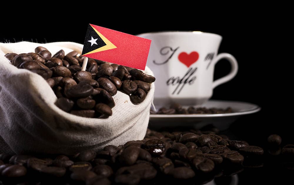 Coffee farmer in Atsabe highlands
